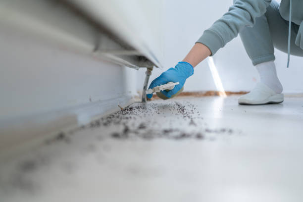 Pest Control for Restaurants in Colby, WI