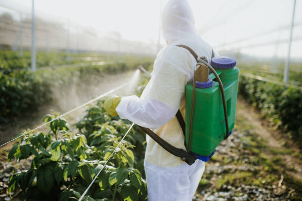 Best Flea Control Services  in Colby, WI